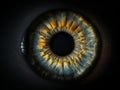 Close up of eye iris on black background Royalty Free Stock Photo