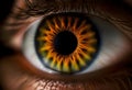 Close up of eye iris on black background, macro, photography