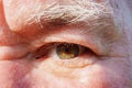 close-up. The eye of a old man man with shaggy gray eyebrows. macro photography