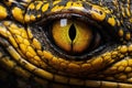 Close up of the eye of a Red Eared Turtle Trachemys scripta, Close up of the yellow eye crocodile, AI Generated