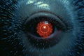 a close up of an eye with red eyes Royalty Free Stock Photo