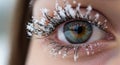 Close-Up Eye with Snowflakes on Eyelashes Royalty Free Stock Photo