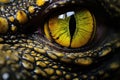 Close-up of the eye of a wild reptile. Macro, Highlight the yellow eye of a crocodile in a close-up, AI Generated Royalty Free Stock Photo