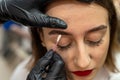 Close-up of an eyebrow designer correcting and touching up eyebrows. Royalty Free Stock Photo