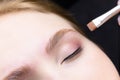 Close-up of the eyebrows, on which the master evenly applies and distributes laminating compounds, thereby directing their growth Royalty Free Stock Photo