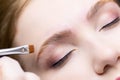 Close-up of the eyebrows, on which the master evenly applies and distributes laminating compounds, thereby directing their growth Royalty Free Stock Photo