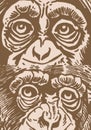 Close -up eyes of baboon, muzzle of monkey vintage illustration