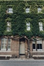 Close up of a facade of a building on New Inn Hall Street in Oxford, UK, covered in green tree foliage Royalty Free Stock Photo