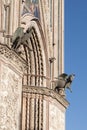 Close up of facade of Orvieto cathedral Royalty Free Stock Photo