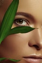 Close-up beautiful young woman with smooth tanned skin with green leaves. Beauty model with natural bronze make-up Royalty Free Stock Photo