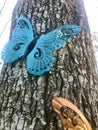 Close up of face butterflies in a tree trunk 3 Royalty Free Stock Photo