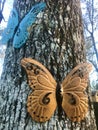 Close up of face butterflies in a tree trunk 4 Royalty Free Stock Photo