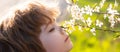 Close up face of cute child outdoors. Spring banner for website header. Happy childhood. Spring kid with blooming tree