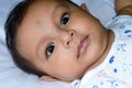 Close up face of cute newborn baby boy with black eyes posing at camera. One month old Sweet little infant toddler Closeup Royalty Free Stock Photo