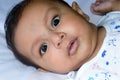 Close up face of cute newborn baby boy with black eyes posing at camera. One month old Sweet little infant toddler Closeup Royalty Free Stock Photo