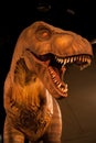 Close up face dinosaur