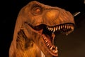 Close up face dinosaur
