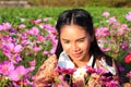 Close up face,pretty girl with pink comos flowers Royalty Free Stock Photo