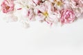 Close up of fading peonies and pink rose flowers petals isolated on white table background. Floral frame composition Royalty Free Stock Photo