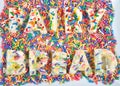 Close up on Fairy Bread spelling Fairy Bread on white plate