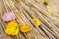 Close-up of fallen autumn leaves lying on a thatched roof