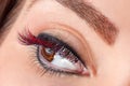 Close-up of false eyelashes Royalty Free Stock Photo