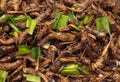 Close-up of crispy fried insects street food as well-known of Thailand. Royalty Free Stock Photo