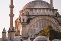 Close up of famous museum Hagia Sophia in Istanbul, Turkey. One of the main sights in Istanbul city center on the sunset