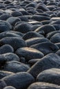 A close-up of the famous & very slippery black boulders at Dunstanburgh Castle in Northumberland