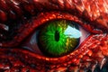 Close-up of fantasy dragon eye. Mythological evil. Dangerous creature Royalty Free Stock Photo