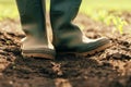Close up of farmer in rubber boots standing in the corn sprout field Royalty Free Stock Photo