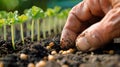 Close-up of farmer\'s hand planting young seedlings on fertile soil