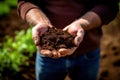 close-up farmer& x27;s hands holding soil sample, soil health in sustainable farming practices