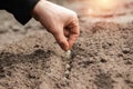 Close up of farmer`s hands, planting seeds in spring. The concept of the garden, the beginning of the season, summer cottage Royalty Free Stock Photo