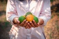 Close-Up of Farmer Woman Hands is Harvesting Orange in Organic Farm, Agriculturist Reaping an Oranges and Holding on Her Hands, Ag