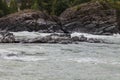 A close-up of a fast-flowing mountain river Katun with a large rock in the middle is a dangerous obstacle in the path of rafting Royalty Free Stock Photo