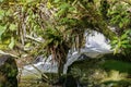 Close-up of a fast flowing white creek in lush green Colombian rainforest, Cocora Valley, Colombia