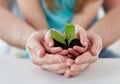 Close up of father and girl hands holding sprout Royalty Free Stock Photo