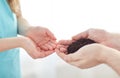 Close up of father and girl hands holding sprout Royalty Free Stock Photo