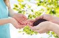 Close up of father and girl hands holding sprout Royalty Free Stock Photo