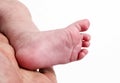 Close up of a father hand and babies feet Royalty Free Stock Photo
