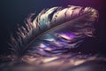 a close up of a feather on a dark background with a blurry image of the feather and the water drople Royalty Free Stock Photo
