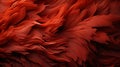 A close up of feathers Royalty Free Stock Photo