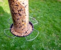 Isolated plastic bird feeder full of wild bird seed