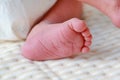 Close up feet of new born baby in a white sheet