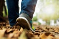 Close up feet of people wearing sneakers and walking in the field