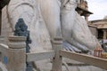 Close up of feet of the statue of Bahubali, also known as Gomateshwara, Vindhyagiri Hill, Shravanbelgola, Karnataka. A golden repl