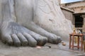 Close up of feet of the statue of Bahubali, also known as Gomateshwara, Vindhyagiri Hill, Shravanbelgola, Karnataka. A golden repl