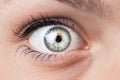 Close-up of a female blue eye