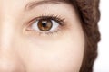 Close-up of an female brown eye Royalty Free Stock Photo